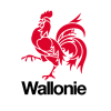 wallonie_coq_fb